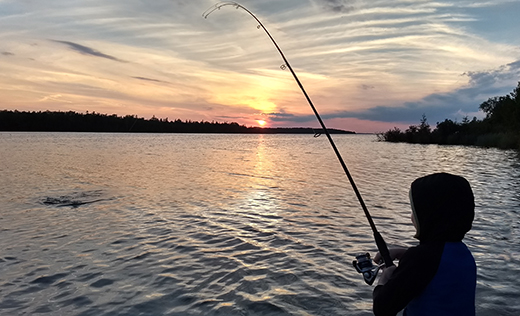  A child holds a bent rod while reeling in a large fish from a Great Lake. The scene is lit by a setting sun.